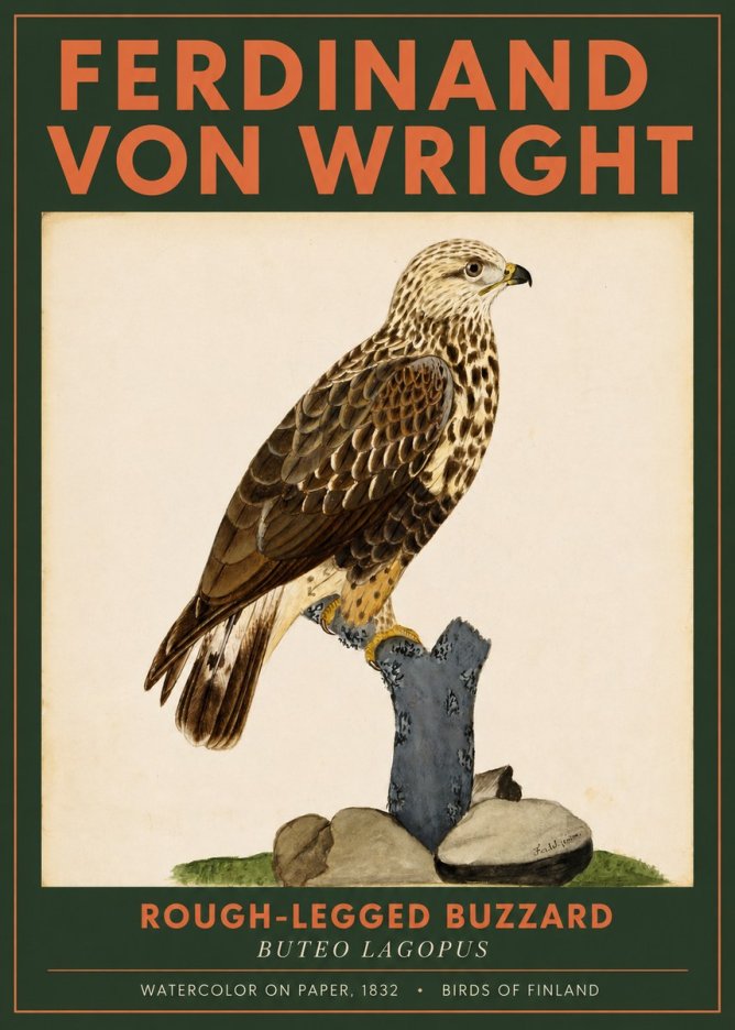 Ferdinand von Wright Rough-legged Buzzard No2 - Plakat