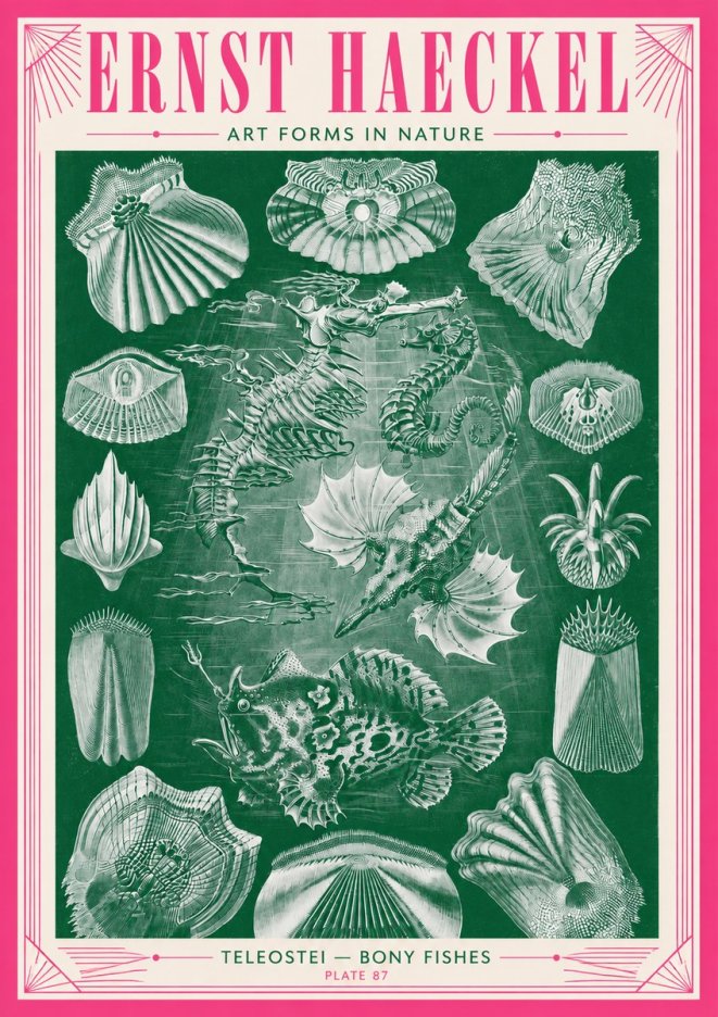 Ernst Haeckel Teleostei - Bony Fishes No3 - Plakat