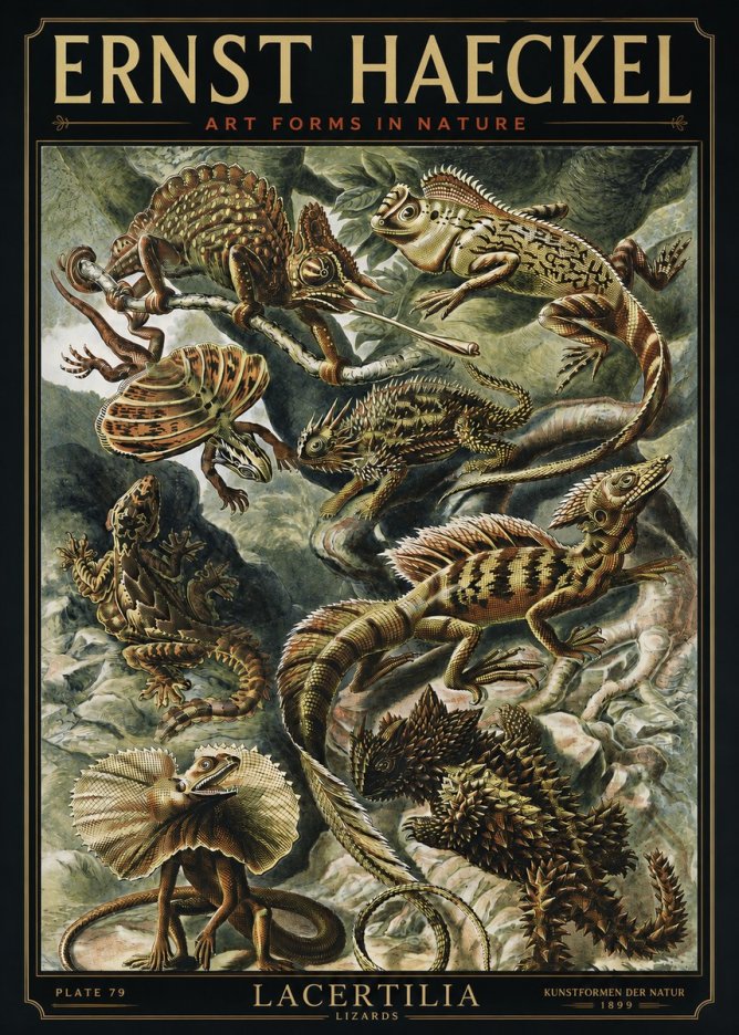 Ernst Haeckel Lacertilia Lizards No3 - Plakat