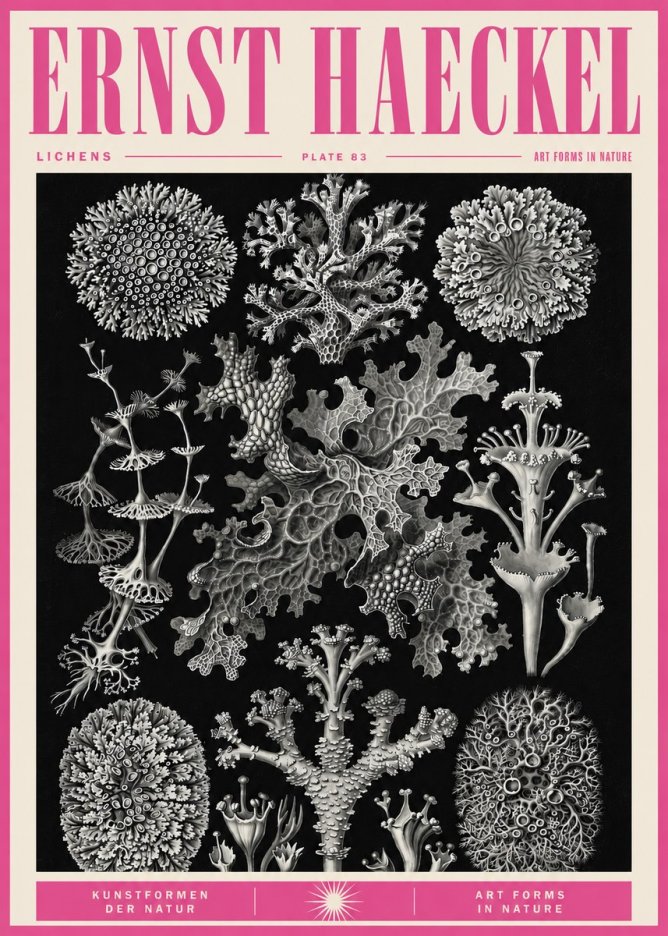 Ernst Haeckel Lichens - Plate 83 No5 - Plakat