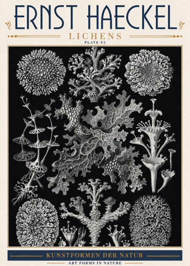 Ernst Haeckel Lichens - Plate 83 No6 - Plakat