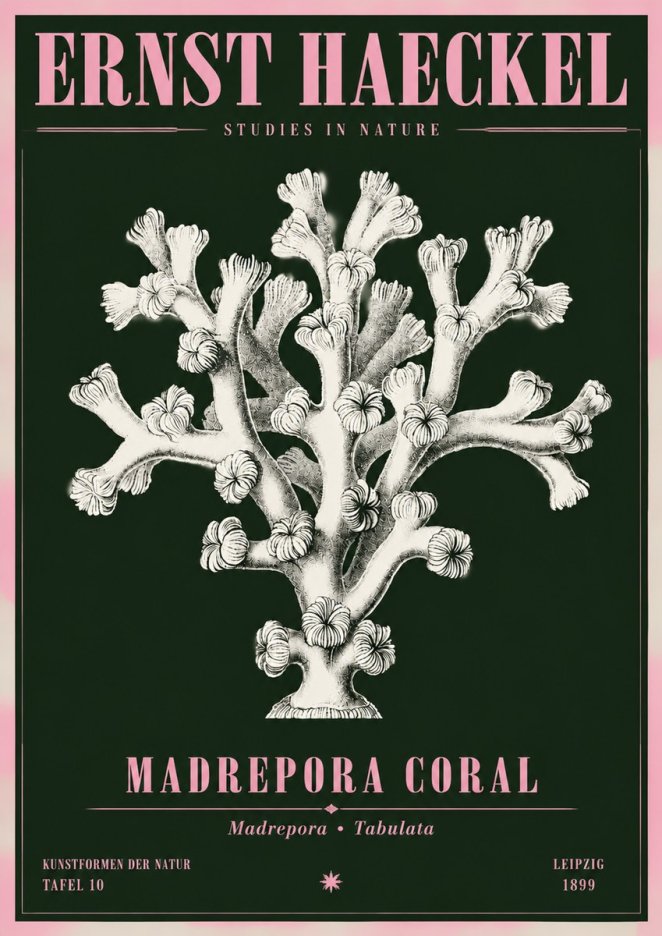 Ernst Haeckel Corallium Rubrum I No5 - Plakat