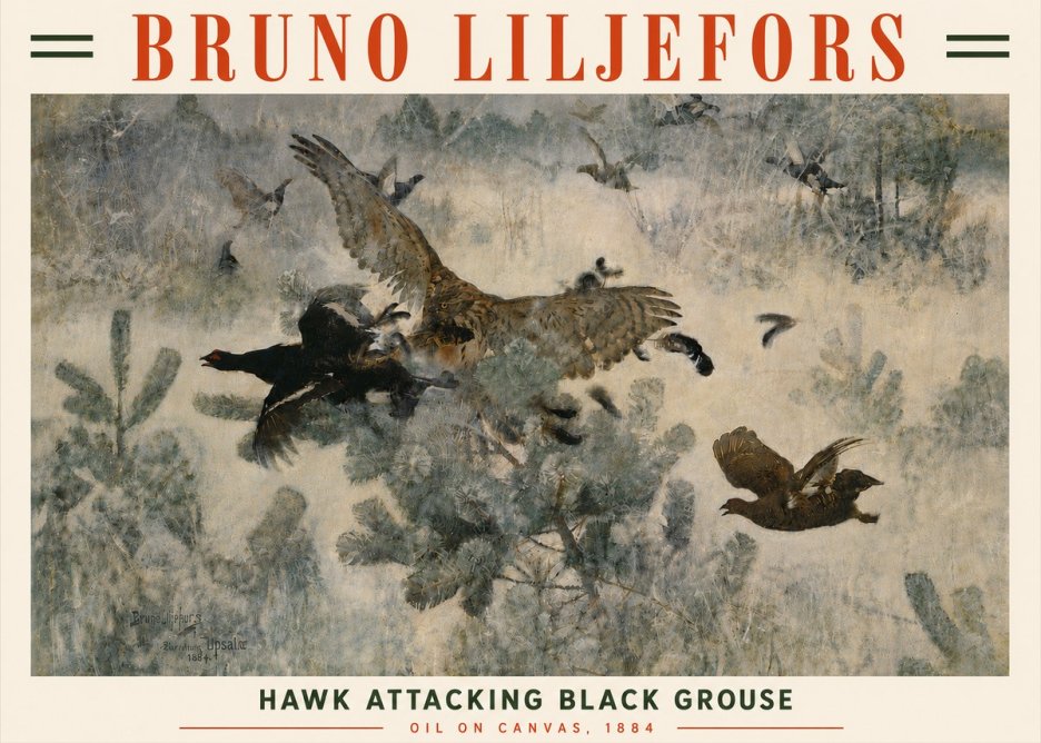 Bruno Liljefors Hawk Attacking Black Grouse No6 - Plakat