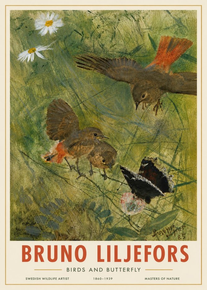 Bruno Liljefors Birds and Butterfly No4 - Plakat