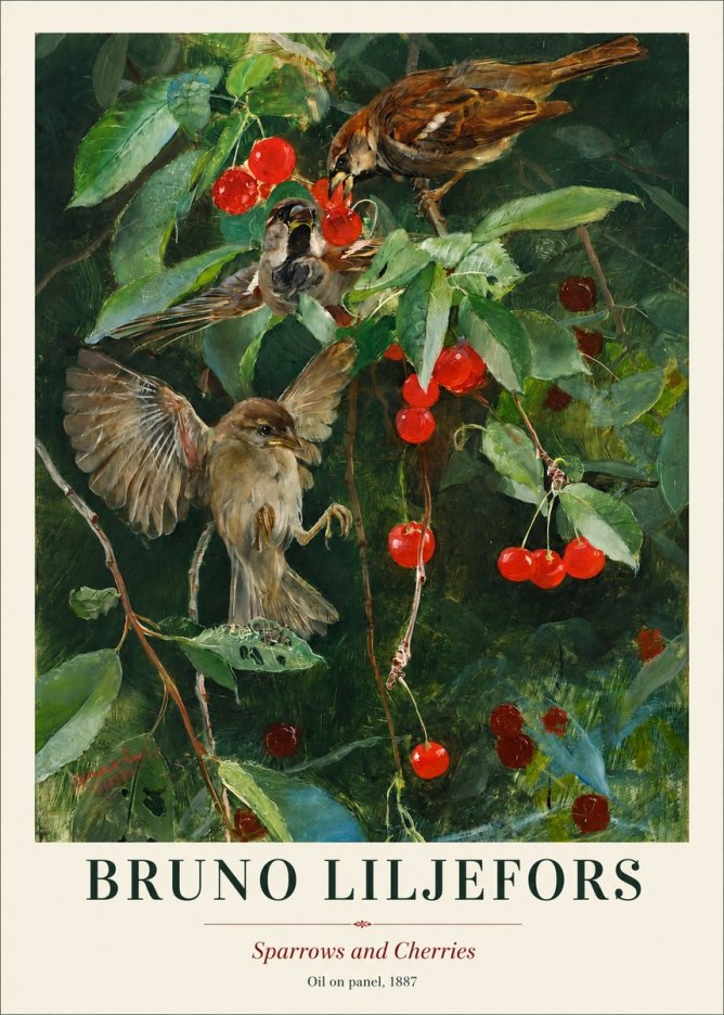 Bruno Liljefors Sparrows and Cherries No1 - Plakat