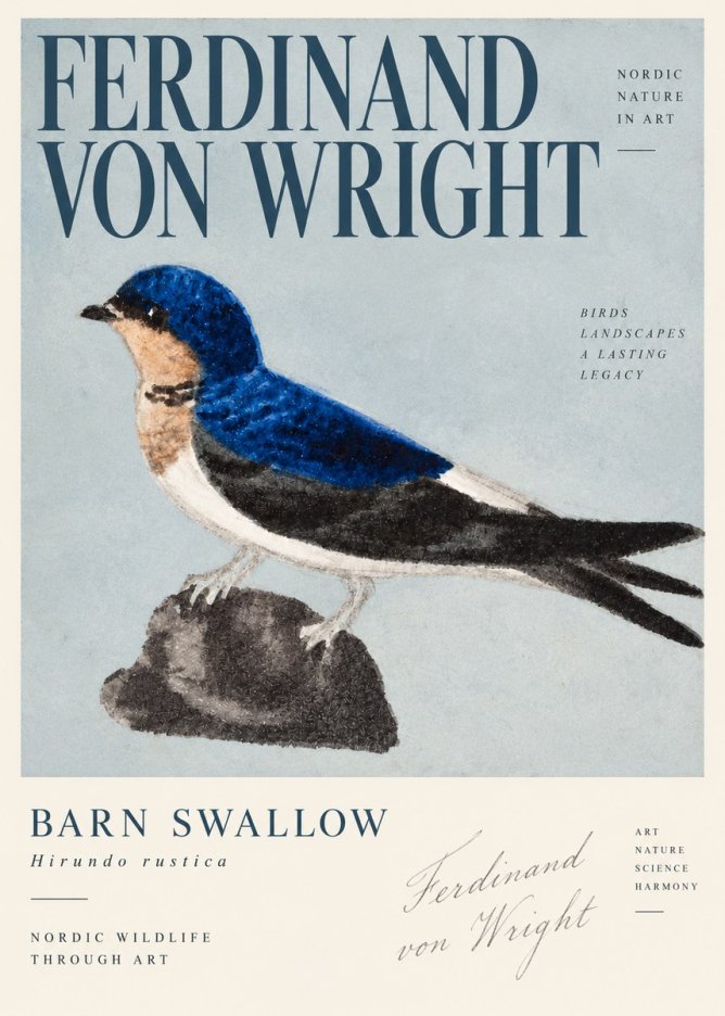 Ferdinand von Wright Swallow (Hirundo Rustica) No4 - Plakat