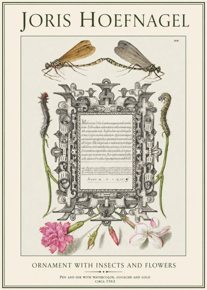 Joris Hoefnagel Ornamental Frame with Damselflies, Caterpillars and Flowers No2 - Plakat