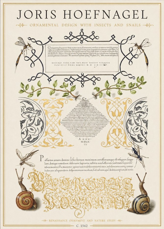 Joris Hoefnagel Memento Mori No2 - Plakat