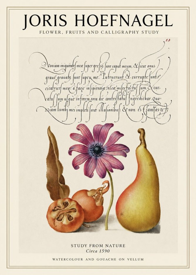 Joris Hoefnagel Study of Flower and Fruits No2 - Plakat
