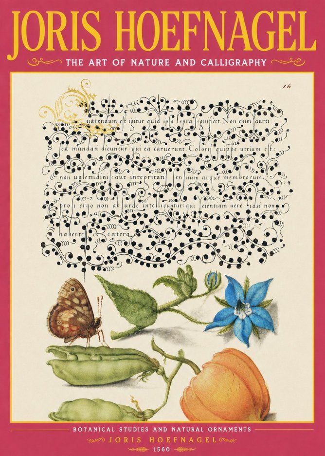 Joris Hoefnagel Study of Plants and Butterfly No4 - Plakat
