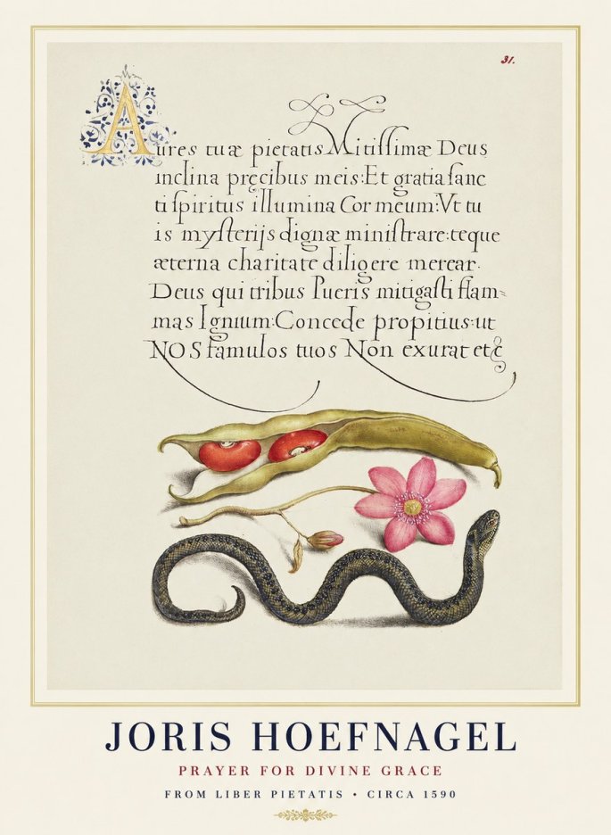 Joris Hoefnagel Prayer for Divine Grace No1 - Plakat