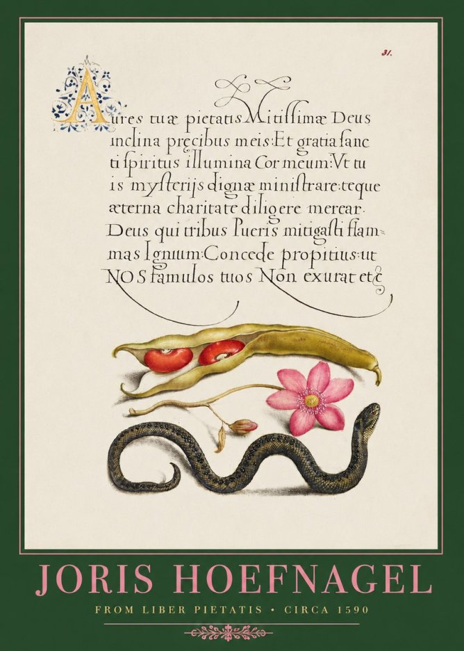 Joris Hoefnagel Prayer for Divine Grace No2 - Plakat