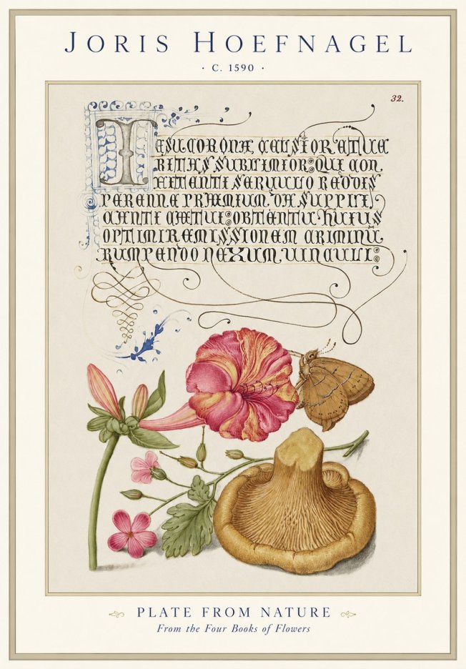 Joris Hoefnagel A Study of Nature II No2 - Plakat