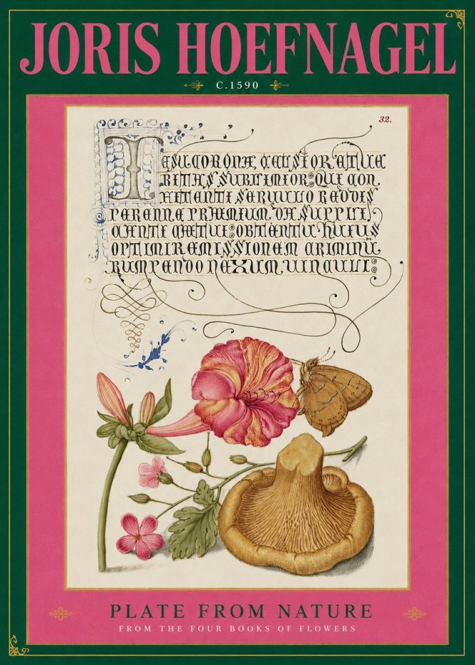 Joris Hoefnagel A Study of Nature II No3 - Plakat