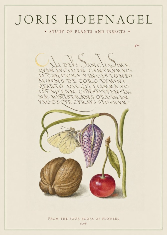 Joris Hoefnagel Study of Plants and Insects No1 - Plakat