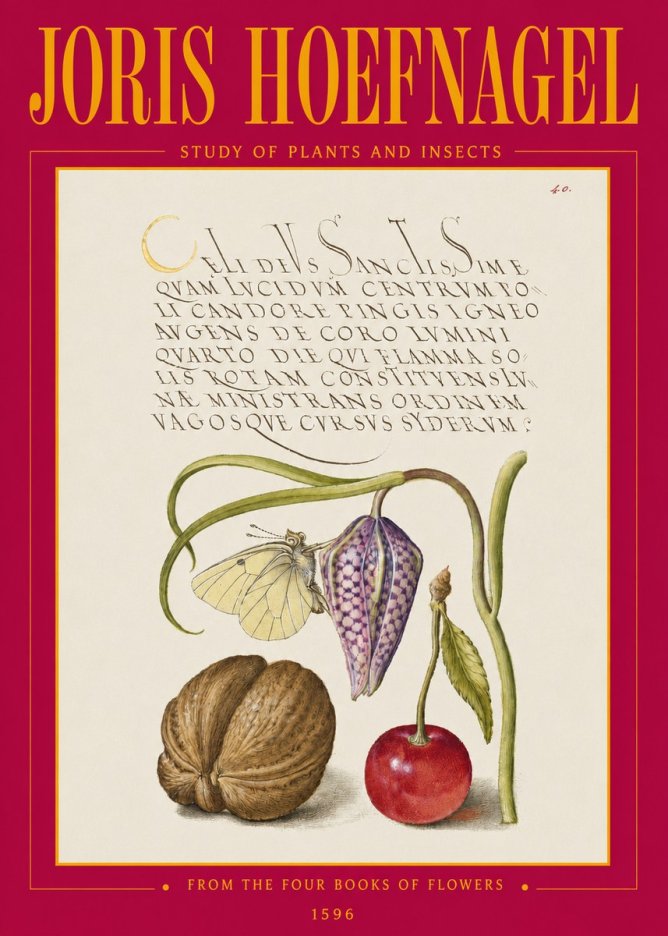 Joris Hoefnagel Study of Plants and Insects No3 - Plakat