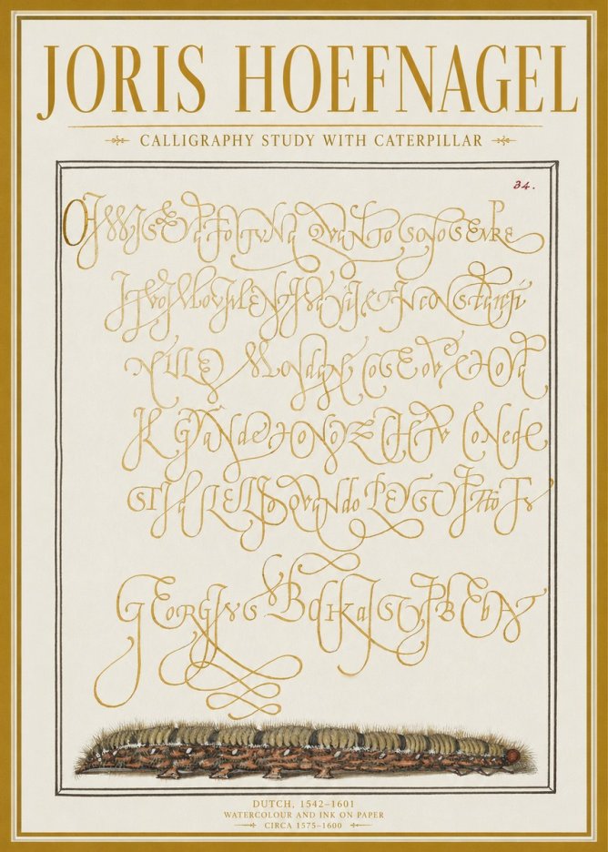 Joris Hoefnagel Calligraphy Study with Caterpillar No1 - Plakat