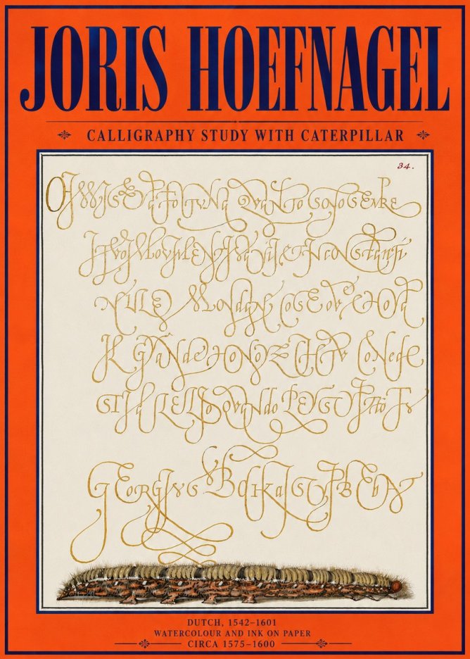 Joris Hoefnagel Calligraphy Study with Caterpillar No4 - Plakat