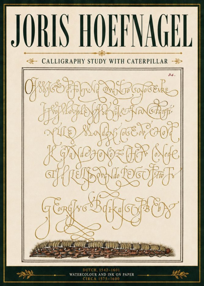 Joris Hoefnagel Calligraphy Study with Caterpillar No5 - Plakat