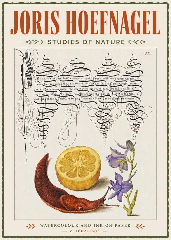Joris Hoefnagel Studies of Nature No4 - Plakat
