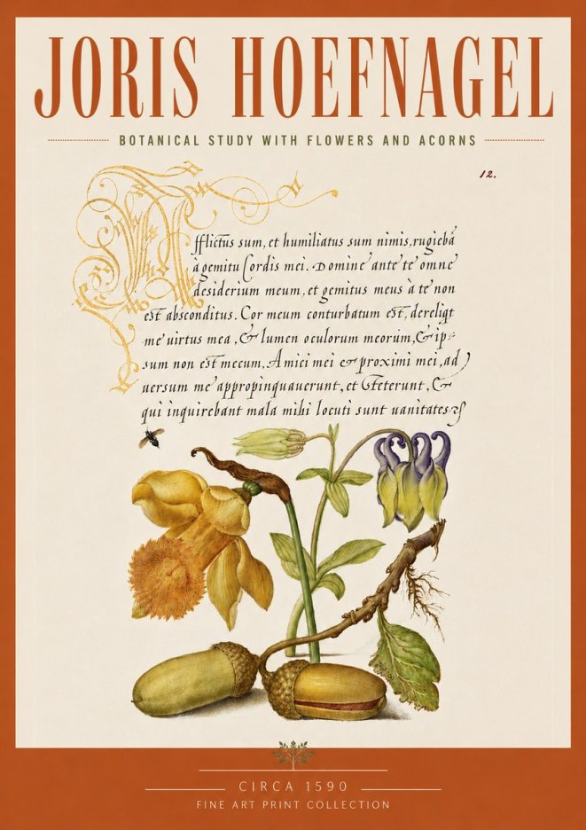 Joris Hoefnagel Illuminated Manuscript with Flowers and Acorns No5 - Plakat