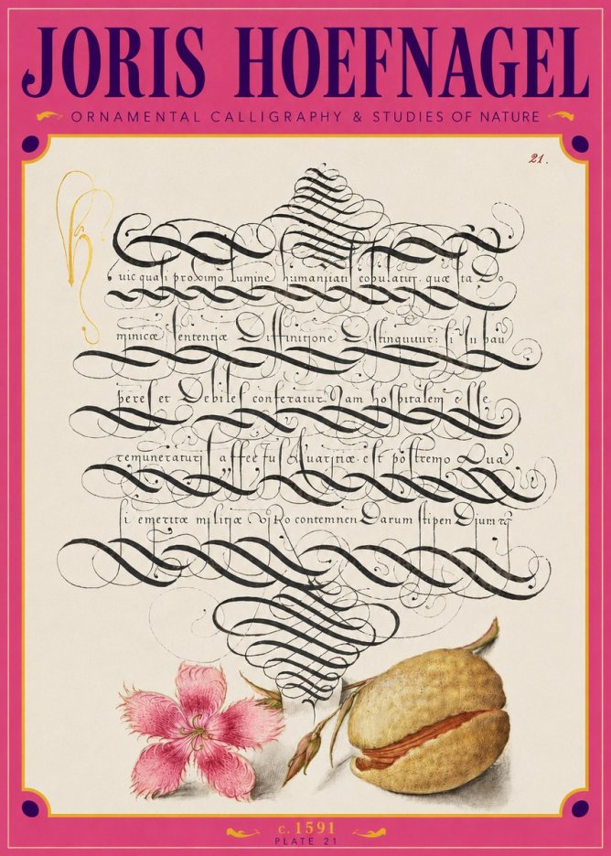 Joris Hoefnagel Ornamental Calligraphy & Studies of Nature No3 - Plakat