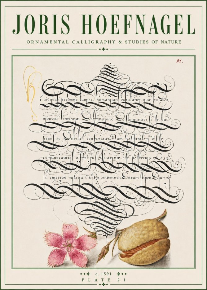 Joris Hoefnagel Ornamental Calligraphy & Studies of Nature No4 - Plakat