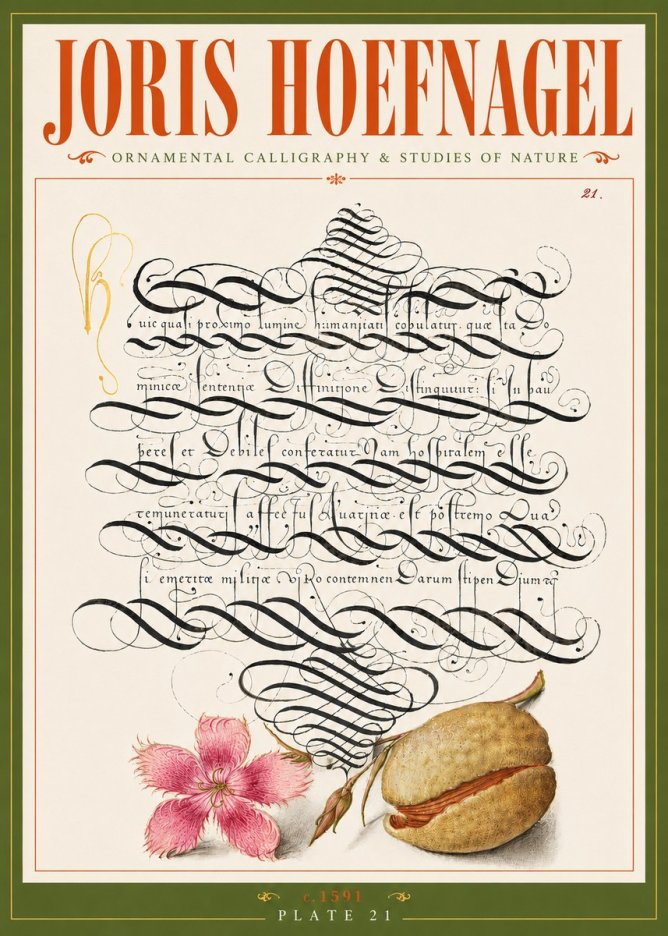 Joris Hoefnagel Ornamental Calligraphy & Studies of Nature No6 - Plakat