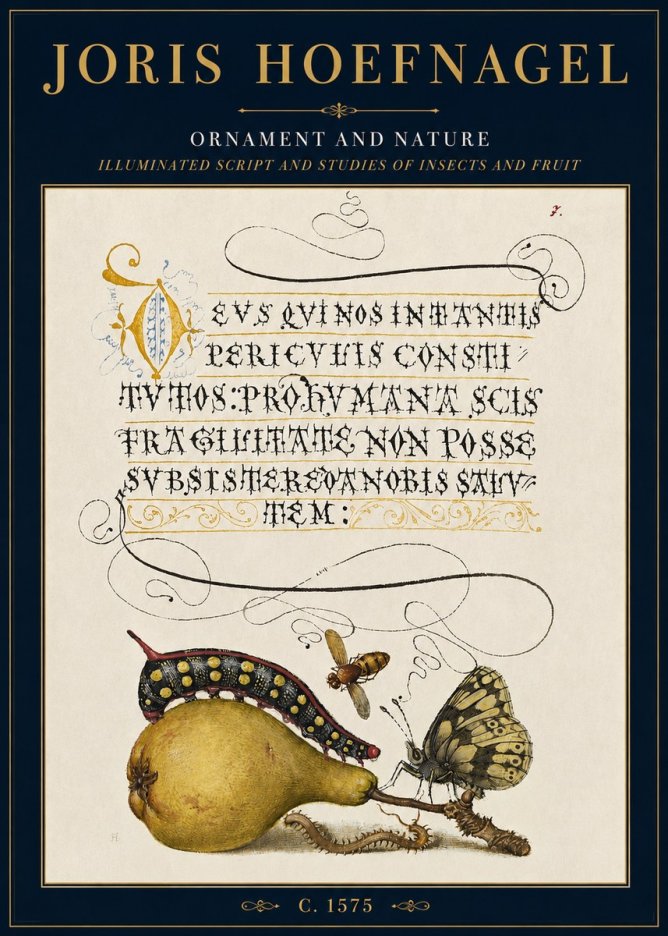 Joris Hoefnagel Ornament and Nature - Illuminated Script and Studies of Insects and Fruit No3 - Plakat