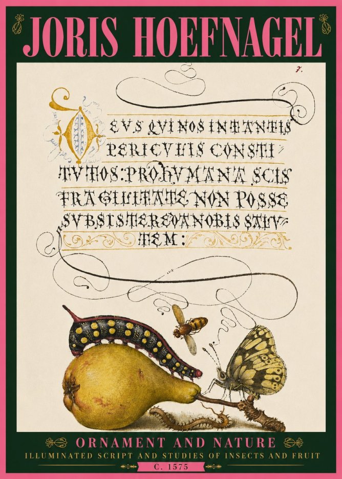 Joris Hoefnagel Ornament and Nature - Illuminated Script and Studies of Insects and Fruit No4 - Plakat