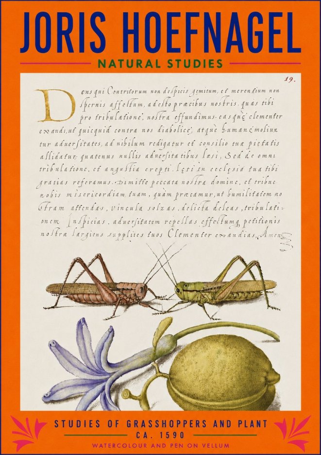 Joris Hoefnagel Studies of Grasshoppers and Plant No3 - Plakat