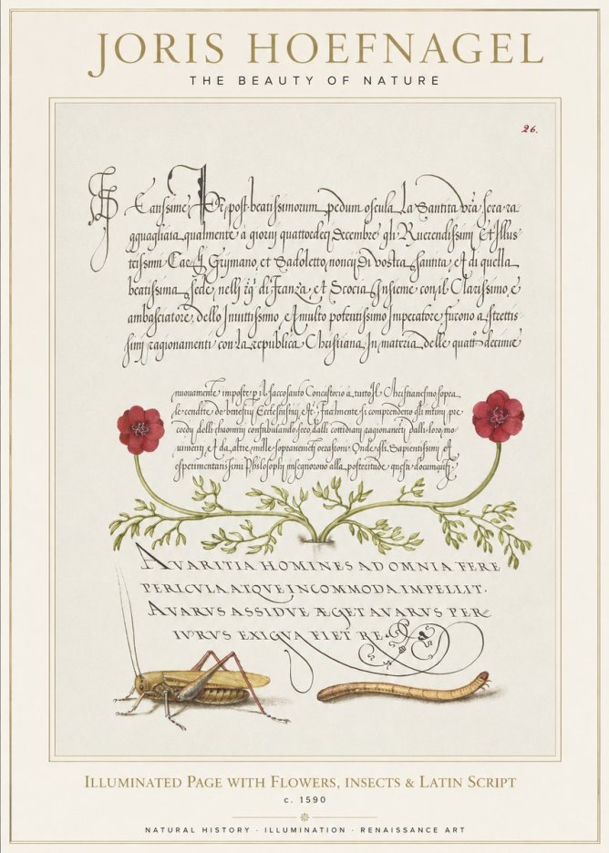 Joris Hoefnagel Illuminated Page with Flowers, Insects & Latin Script No1 - Plakat