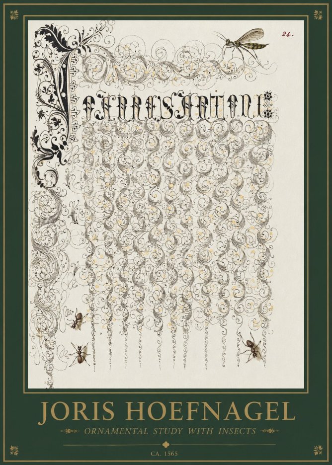 Joris Hoefnagel Ornamental Study with Insects No1 - Plakat