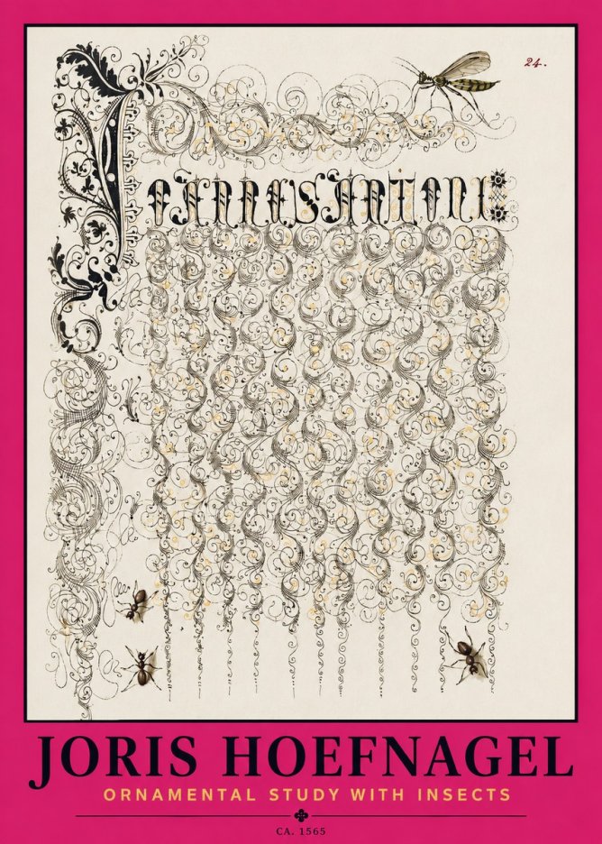Joris Hoefnagel Ornamental Study with Insects No2 - Plakat