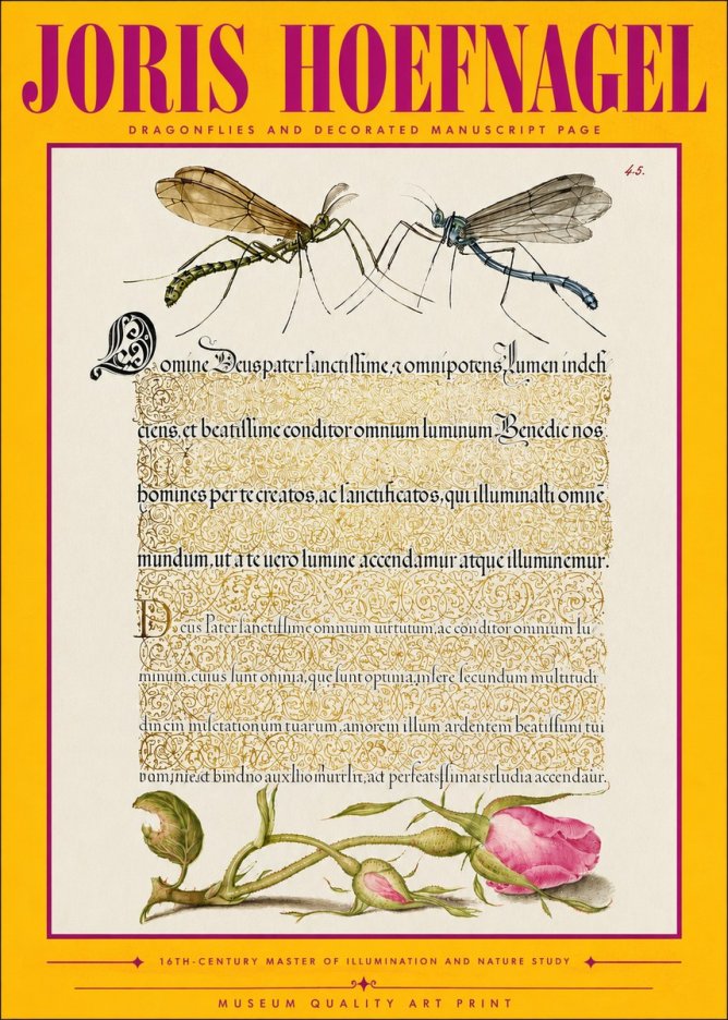 Joris Hoefnagel Dragonflies and Decorated Manuscript Page No4 - Plakat