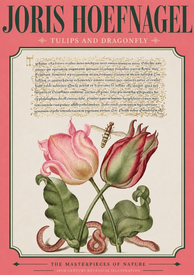 Joris Hoefnagel Two Tulips with Caterpillars and Dragonfly No4 - Plakat