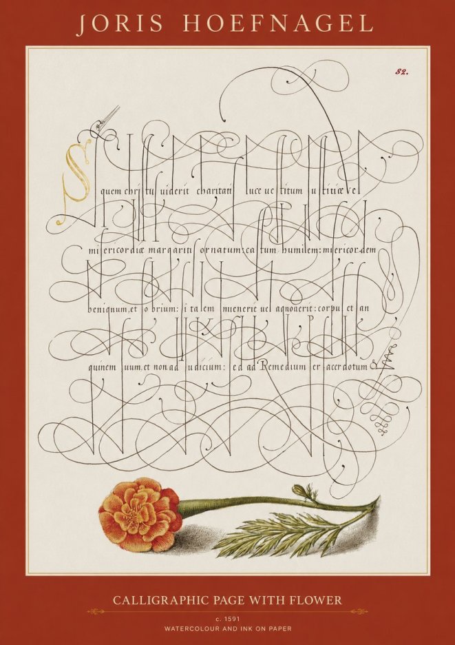 Joris Hoefnagel Calligraphic Study with Marigold No2 - Plakat