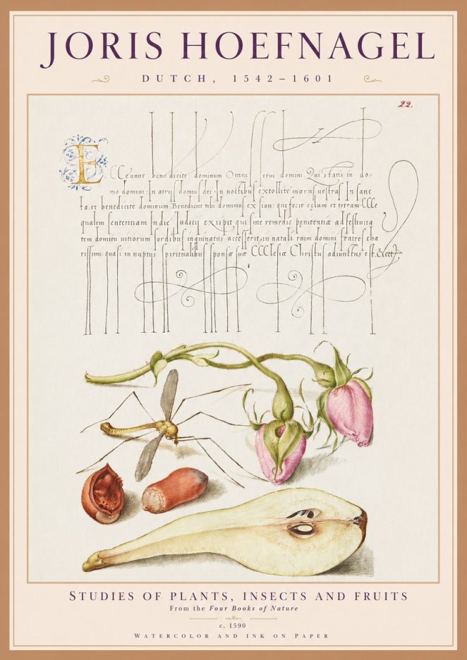 Joris Hoefnagel Studies of Plants, Insects and Fruits No1 - Plakat