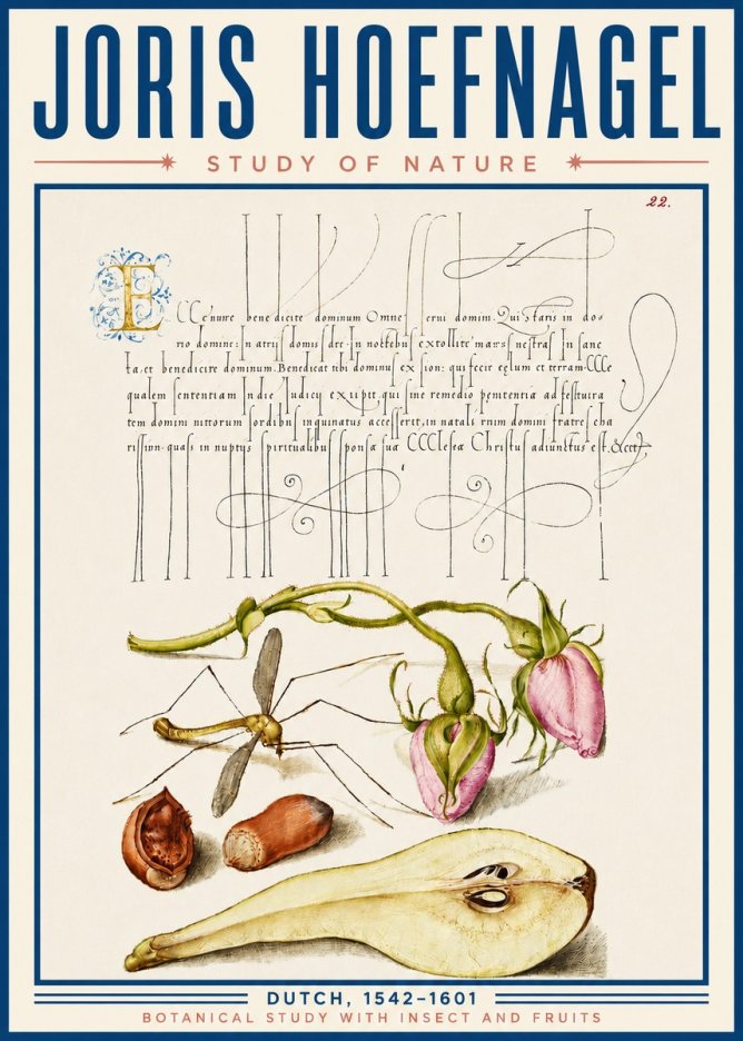 Joris Hoefnagel Studies of Plants, Insects and Fruits No6 - Plakat