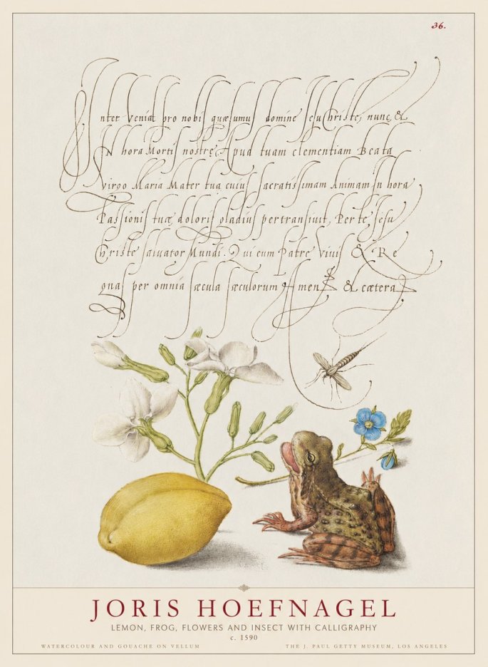 Joris Hoefnagel Nature Study with Lemon, Flowers, Frog & Insect No2 - Plakat