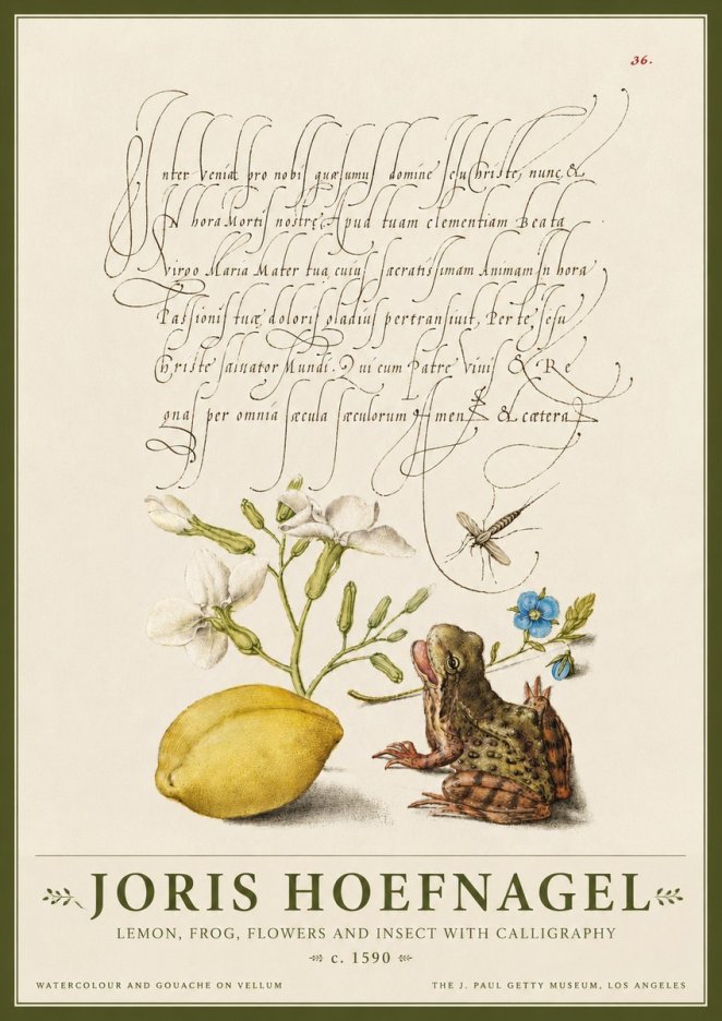 Joris Hoefnagel Nature Study with Lemon, Flowers, Frog & Insect No4 - Plakat
