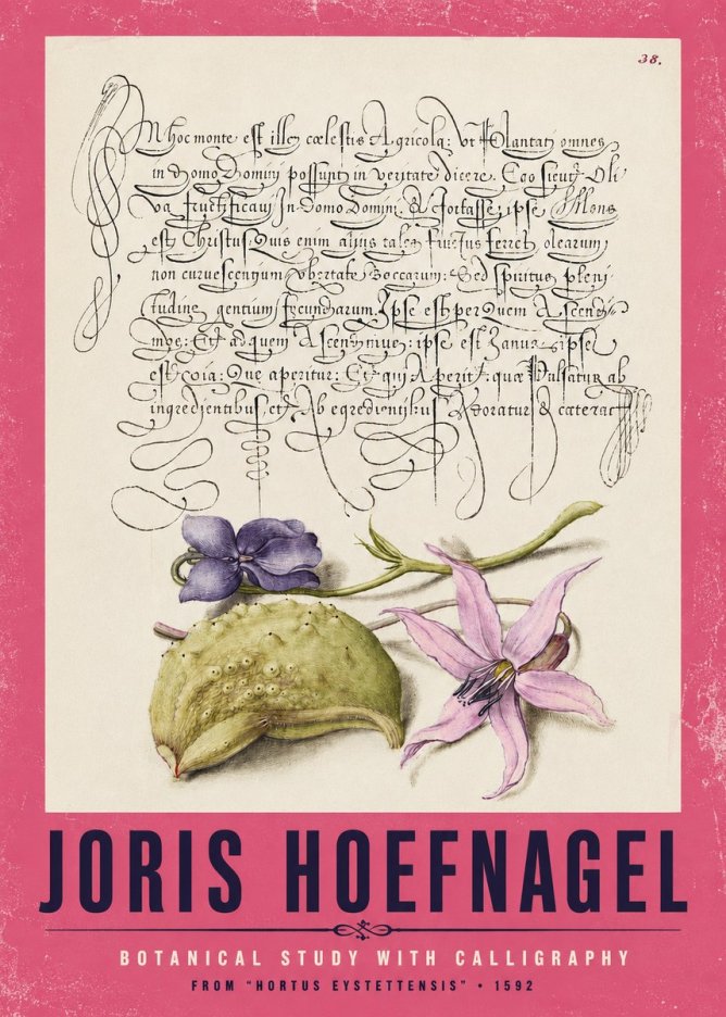 Joris Hoefnagel Botanical Study with Calligraphy I No2 - Plakat
