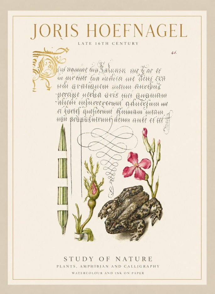 Joris Hoefnagel Study of Nature I No1 - Plakat