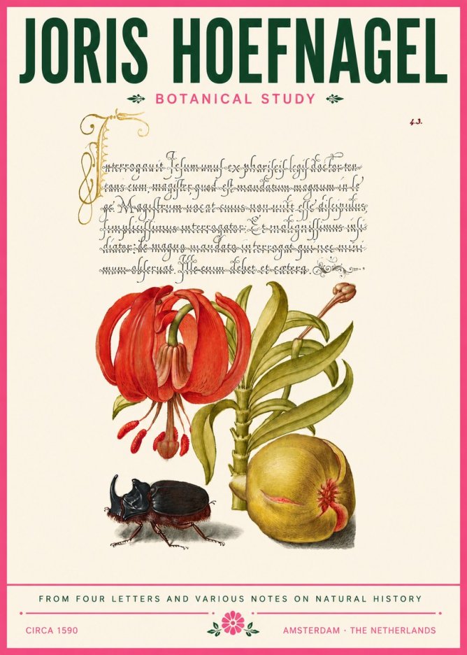 Joris Hoefnagel Botanical Study II No6 - Plakat