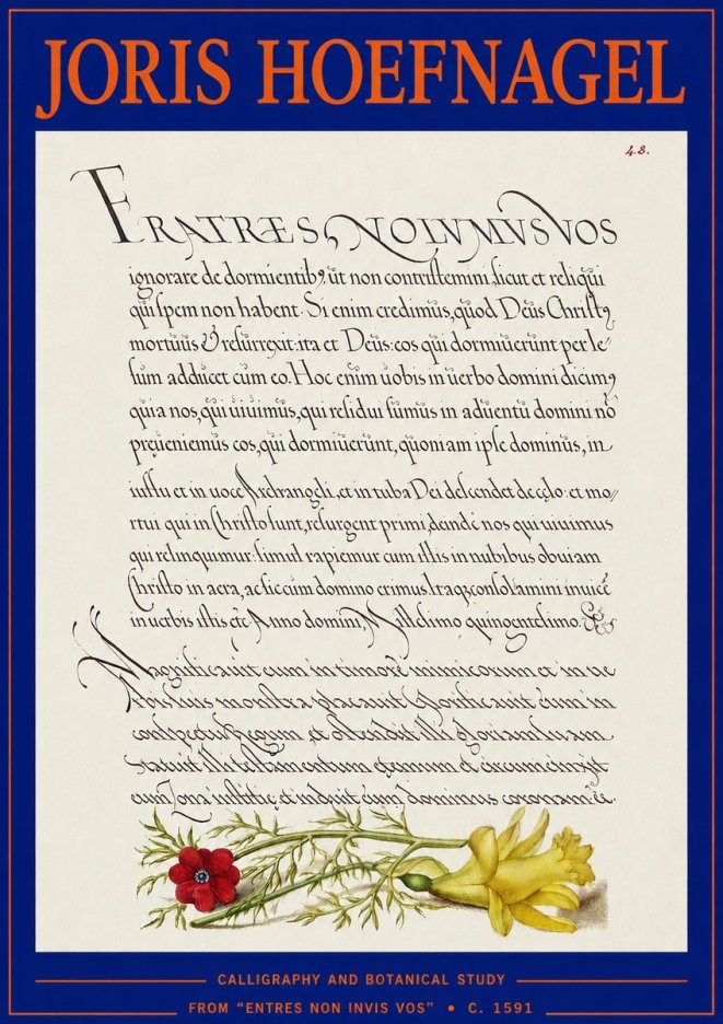 Joris Hoefnagel Calligraphy and Botanical Study I No3 - Plakat