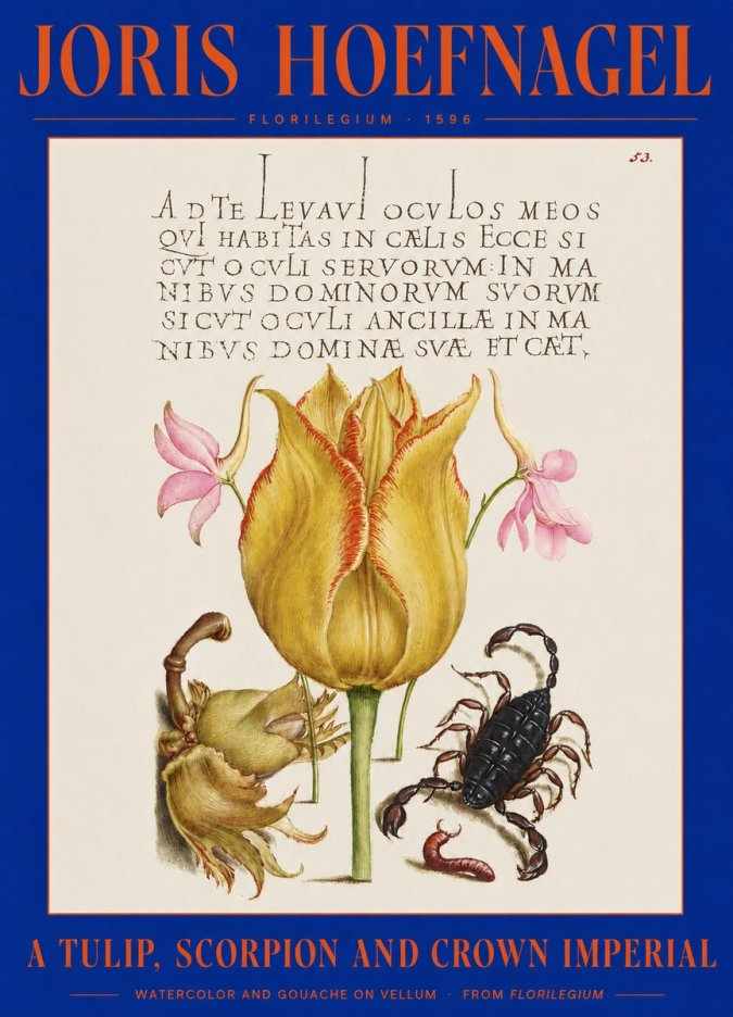 Joris Hoefnagel A Tulip, Scorpion and Crown Imperial No2 - Plakat