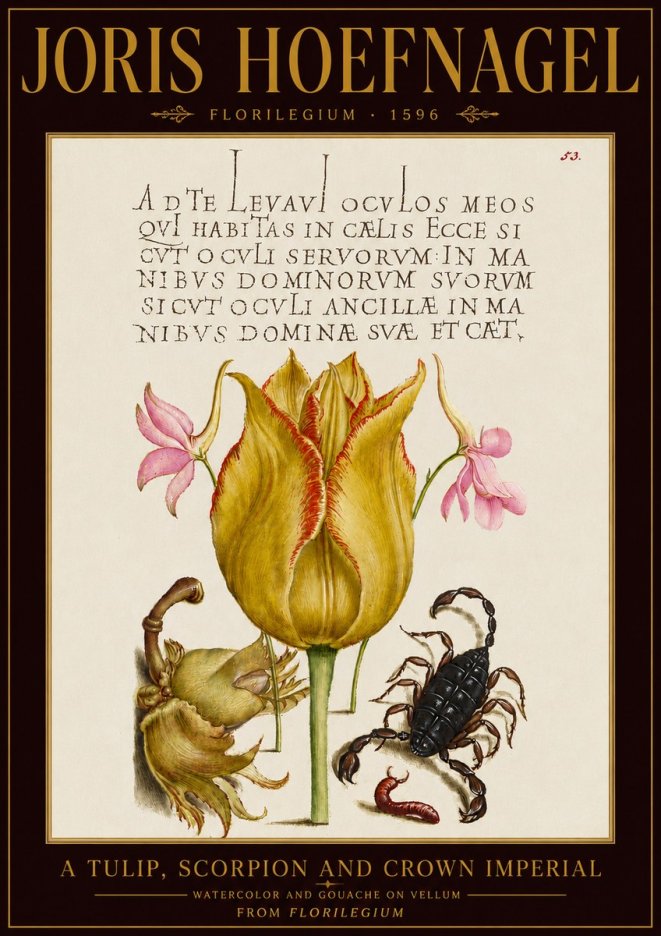 Joris Hoefnagel A Tulip, Scorpion and Crown Imperial No5 - Plakat