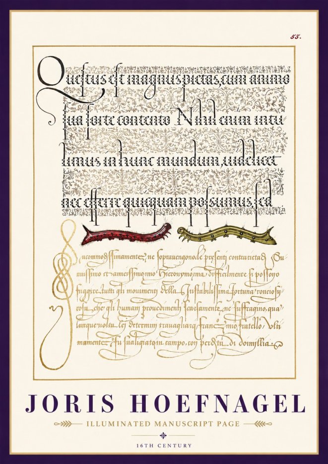 Joris Hoefnagel Illuminated Manuscript Page I No3 - Plakat