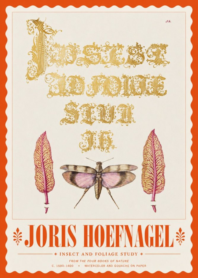 Joris Hoefnagel Insect and Foliage Study No3 - Plakat