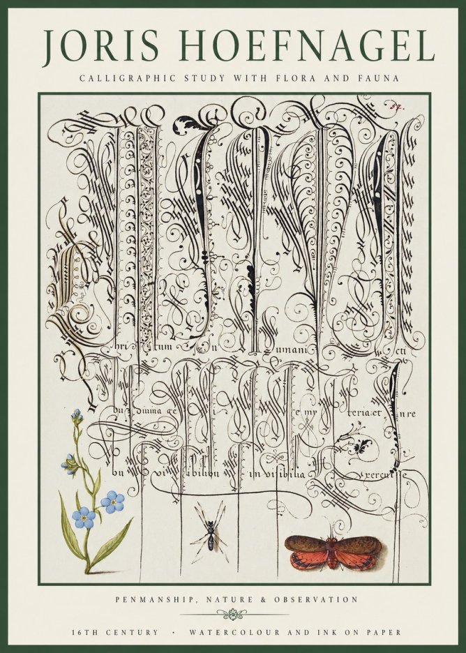 Joris Hoefnagel Calligraphic Study with Flora and Fauna No1 - Plakat
